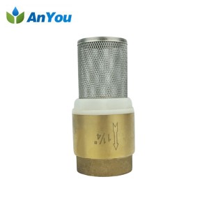 Brass Check Valve