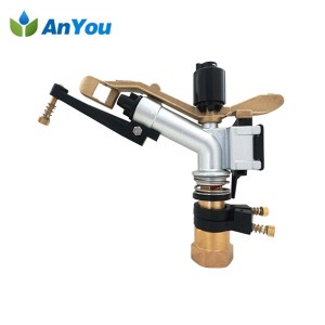 Irrigation Rain Gun with 1 Inch Connection