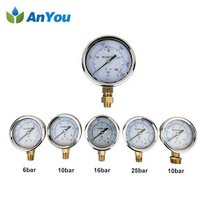 Pressure Gauge