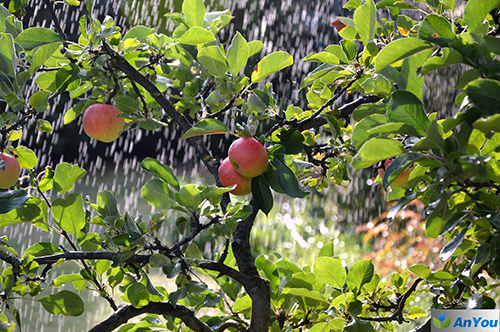 New China’s 70-year farmland irrigation industry has made great progress to ensure food security